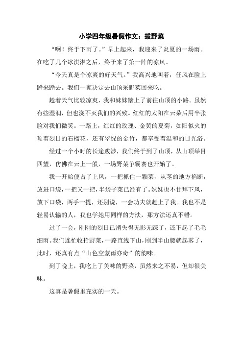 小学四年级暑假作文:拔野菜