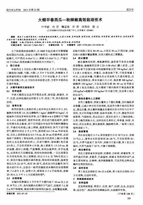 大棚早春西瓜—秋辣椒高效栽培技术