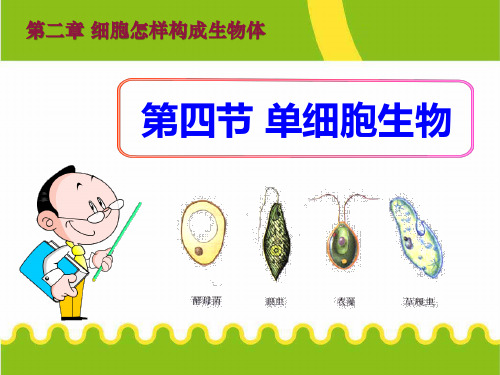 《单细胞生物》细胞怎样构成生物体PPT课件2