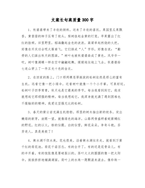 文案长句高质量300字