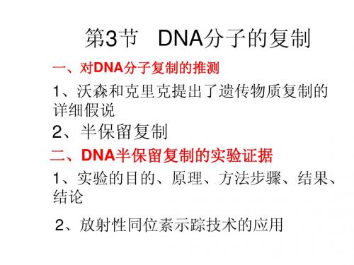 3DNA分子的复制