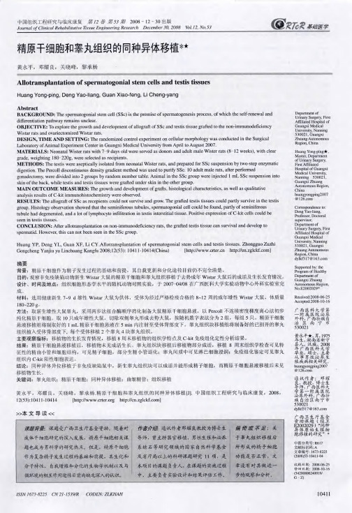 精原干细胞和睾丸组织的同种异体移植