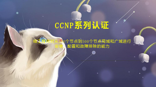 CCNP系列认证