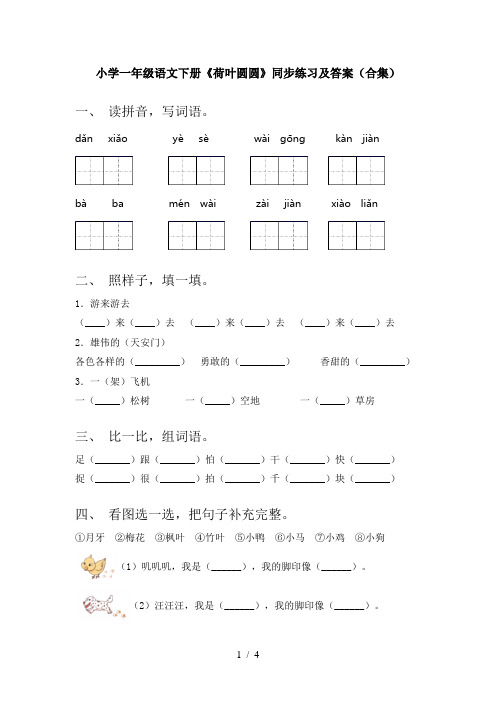 小学一年级语文下册《荷叶圆圆》同步练习及答案(合集)