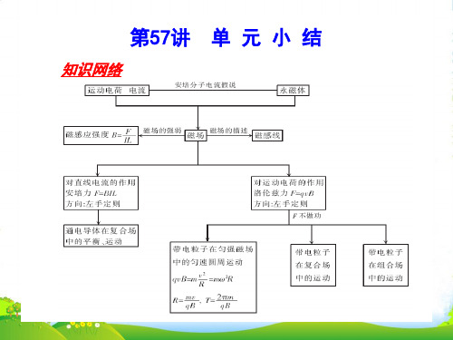 河北省高考物理一轮总复习 磁场 第57讲 单元小结课件