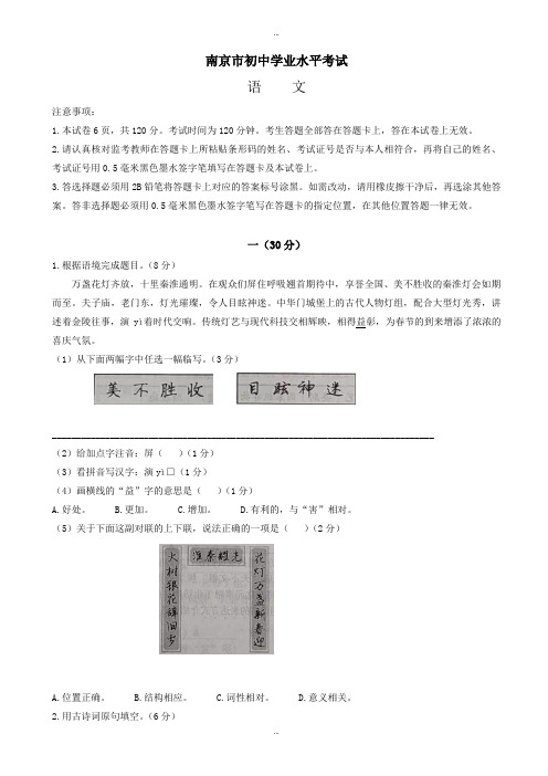 2019-2020学年江苏省南京市初中学业水平考试(中考)语文试卷