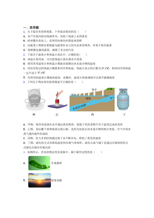 深圳市梅山中学初中物理八年级上第一章《物态及其变化》检测(包含答案解析)