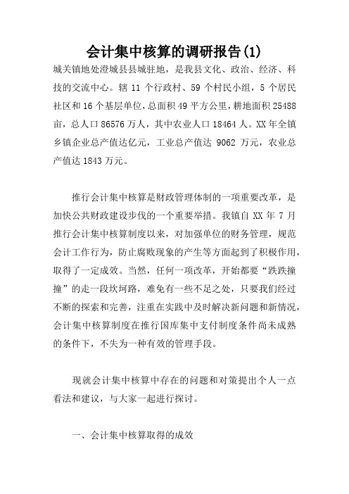 会计集中核算的调研报告(1)