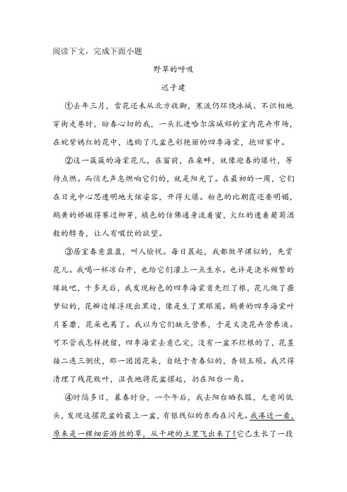 《野草的呼吸》阅读练习及答案