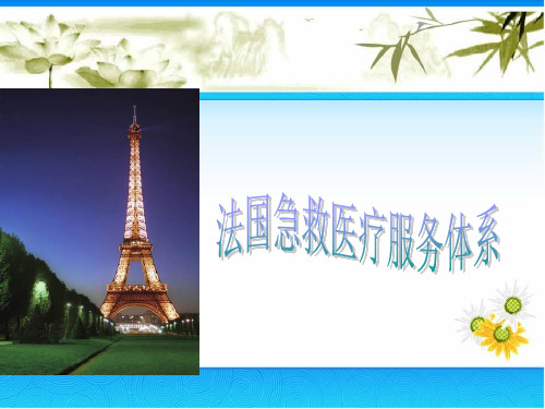 法国EMSS