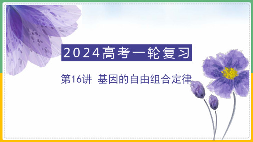 专题16 基因的自由组合定律(精讲课件)-2023年高考生物一轮复习讲练测(新教材新高考)