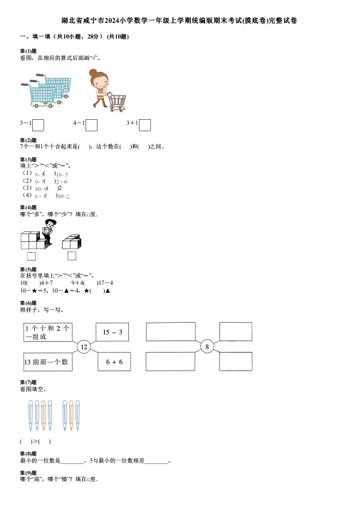 湖北省咸宁市2024小学数学一年级上学期统编版期末考试(摸底卷)完整试卷