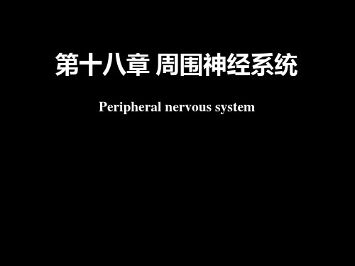 周围神经系统’概论