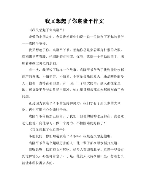 我又想起了你袁隆平作文