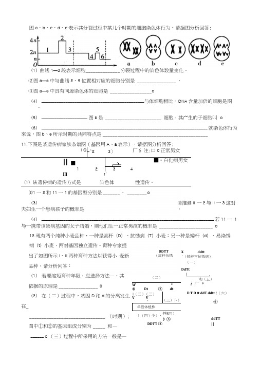 《探索遗传物质的过程》学案4.docx