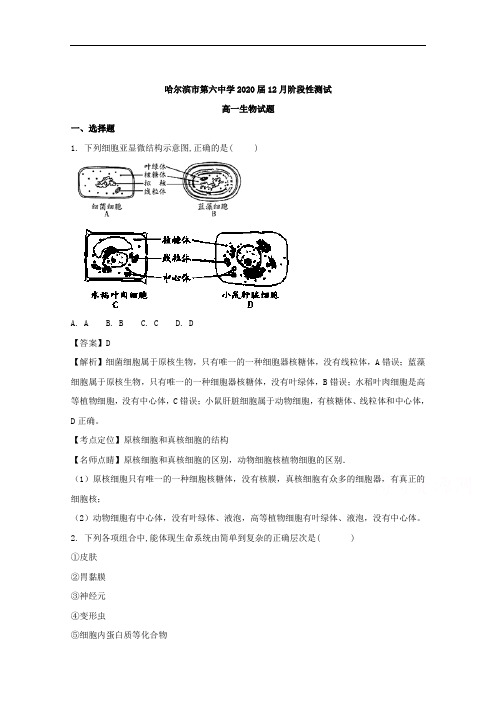 黑龙江省哈尔滨市第六中学2017-2018学年高一12月月考