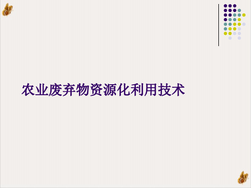 农业废弃物资源化利用技术课件ppt1