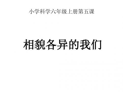 5,相貌各异的我们