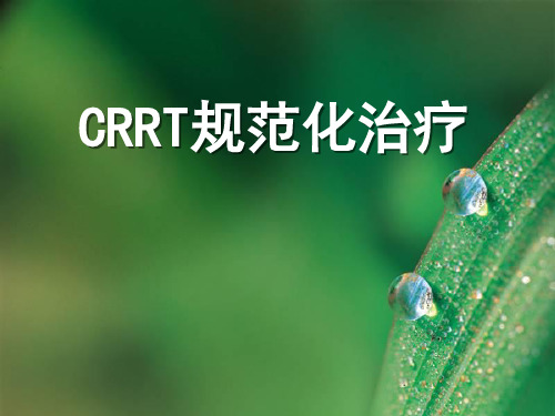 CRRT