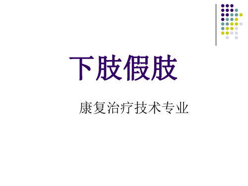 5_下肢假肢概述