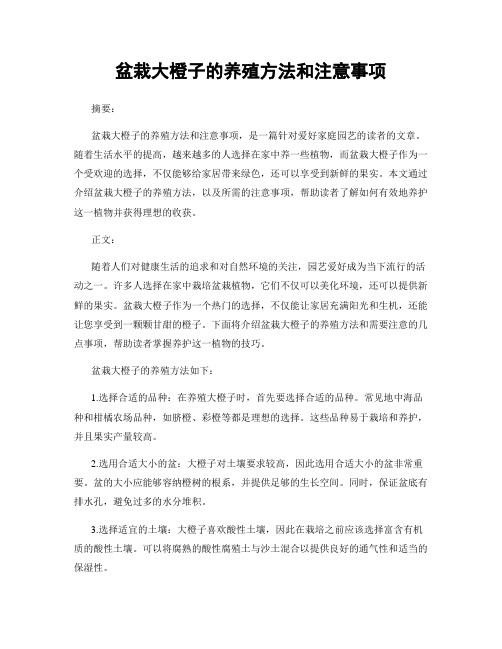 盆栽大橙子的养殖方法和注意事项