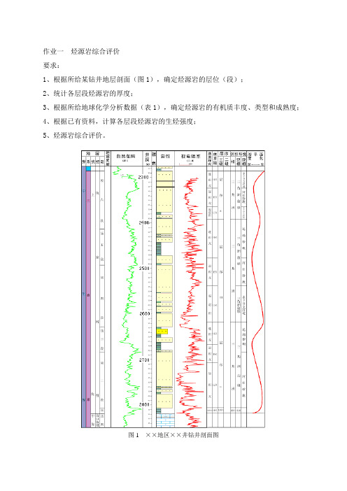 hg作业一 烃源岩综合评价