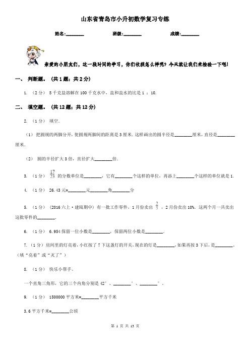 山东省青岛市小升初数学复习专练