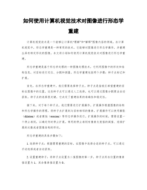 如何使用计算机视觉技术对图像进行形态学重建