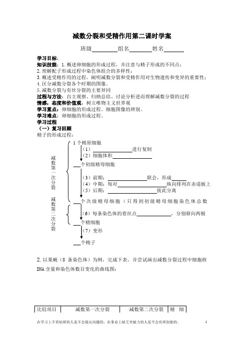 减数分裂和受精作用第二课时学案