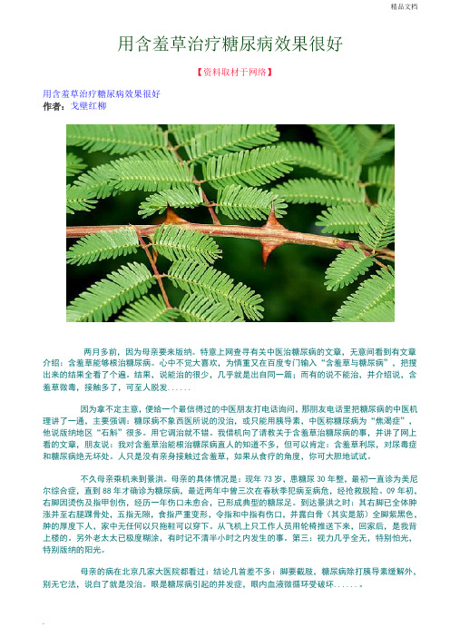 用含羞草治疗糖尿病效果很好