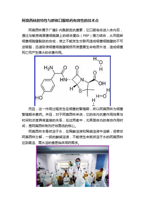 阿莫西林的特性与群体口服给药有效性的技术点