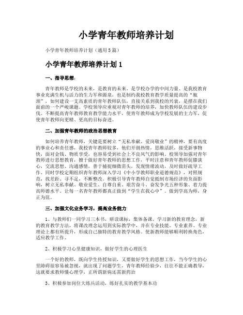 小学青年教师培养计划