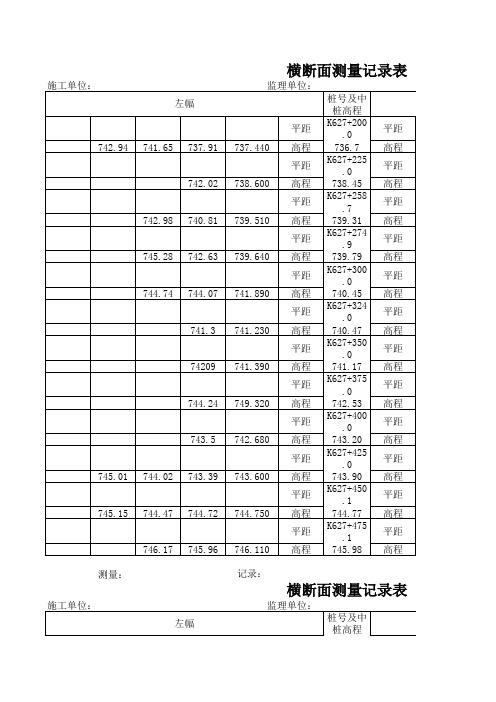 横断面测量记录表