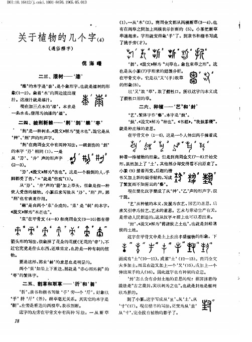 关于植物的几个字(4)——(通俗释字)