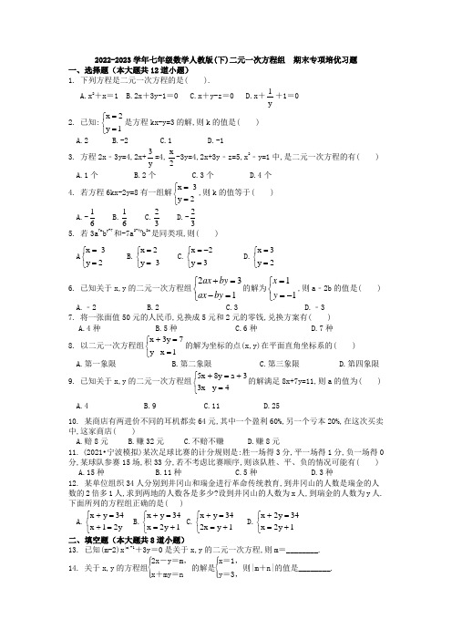 2022-2023学年七年级数学人教版下册期末培优试卷(++二元一次方程组++)