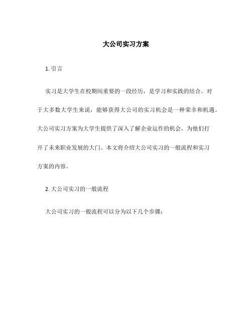 大公司实习方案