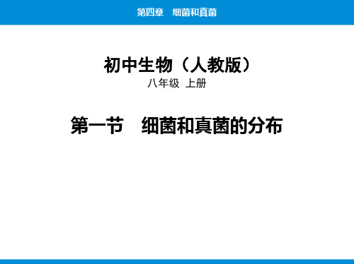 人教版八年级生物上册《细菌和真菌的分布》PPT优质课件