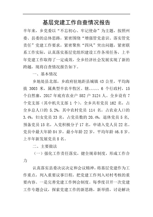基层党建工作自查情况报告
