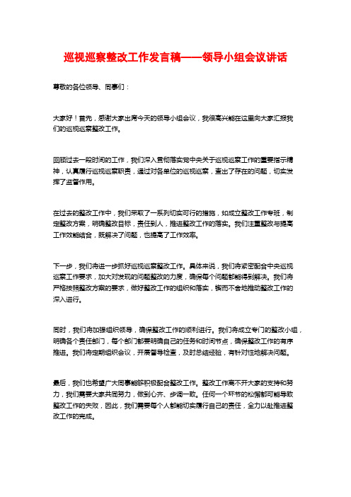 巡视巡察整改工作发言稿——领导小组会议讲话