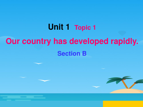 《Our country has developed rapidly》SectionB PPT【优秀课件资料】