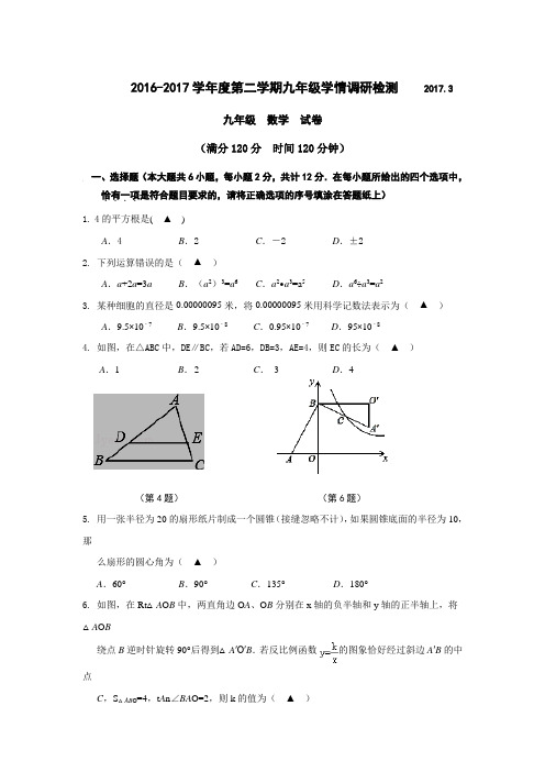 江苏省南京市2017届九年级3月学业水平检测数学试卷含答案
