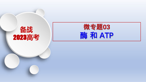 高中生物 微专题03 酶和ATP-备战2023年高考生物一轮复习考点微专题(新高考专用)