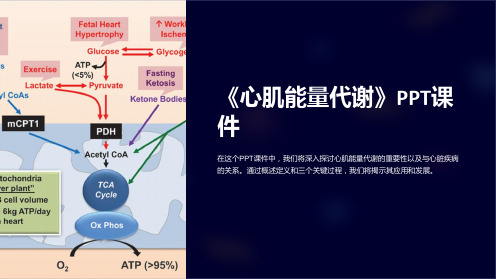 《心肌能量代谢》课件