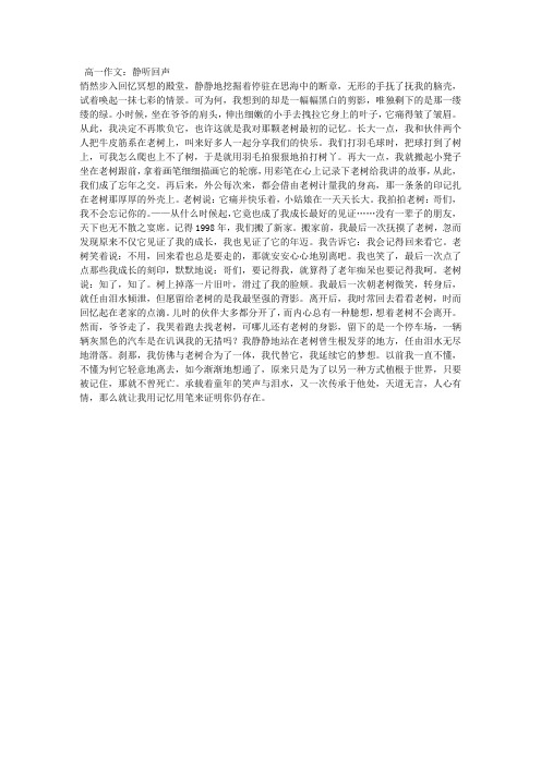 高一作文:静听回声