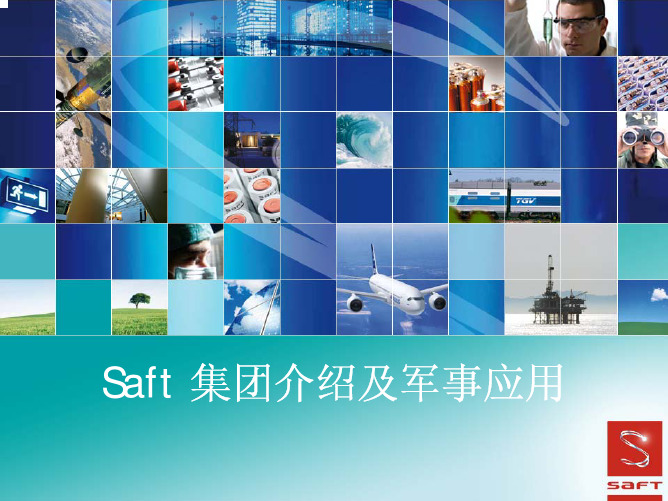 Saft 公司介绍