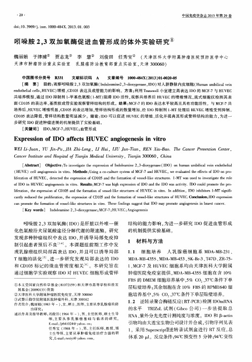 吲哚胺2,3双加氧酶促进血管形成的体外实验研究