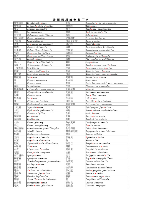 常用药用植物拉丁名100种