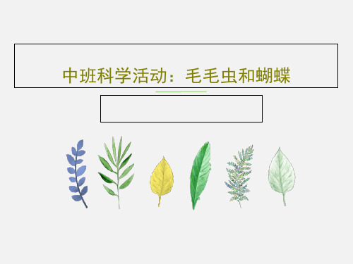 中班科学活动：毛毛虫和蝴蝶共21页