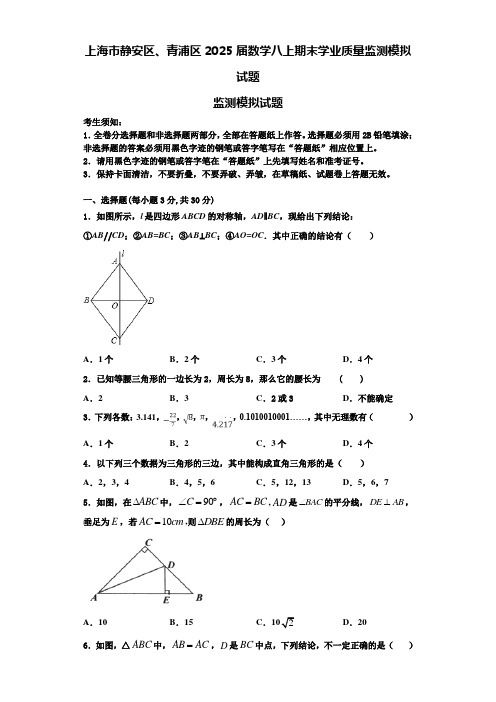 上海市静安区、青浦区2025届数学八上期末学业质量监测模拟试题含解析