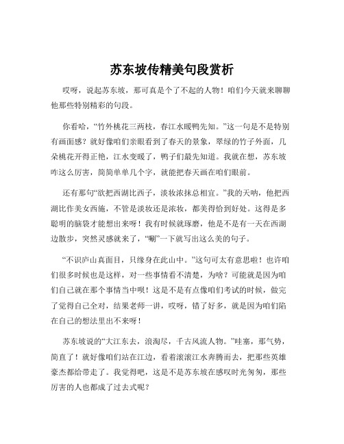 苏东坡传精美句段赏析